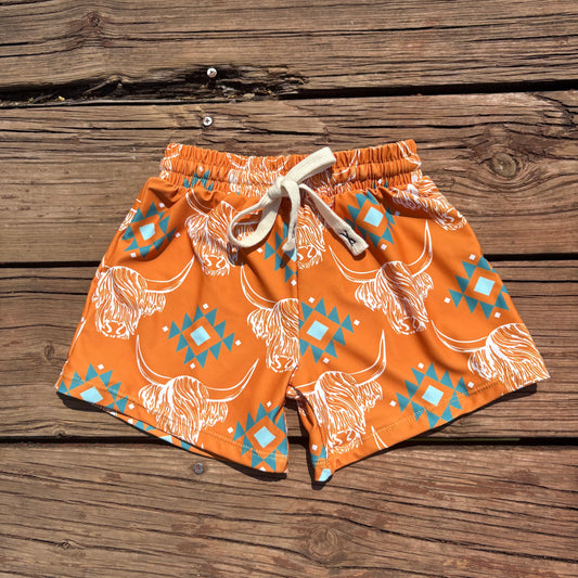 S0463 boys western cow aztec summer swim shorts trunks